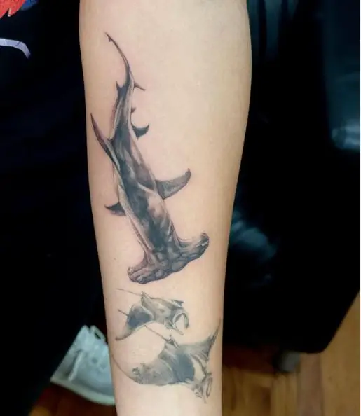 Hammerhead Shark Tattoo on Hands