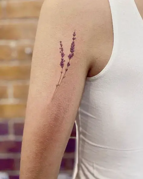 Maroon Lavender Arm Tattoo