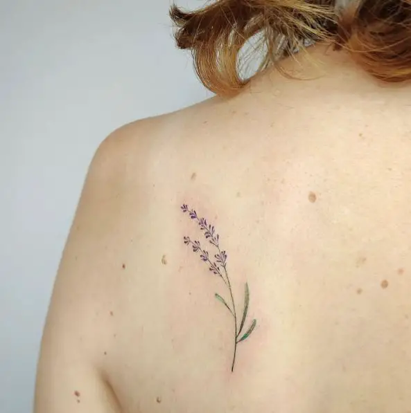 Purple Lavender Sprig Shoulder Tattoo