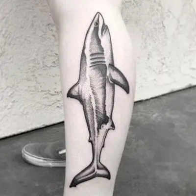 Shark Temporary Tattoo Sticker - OhMyTat
