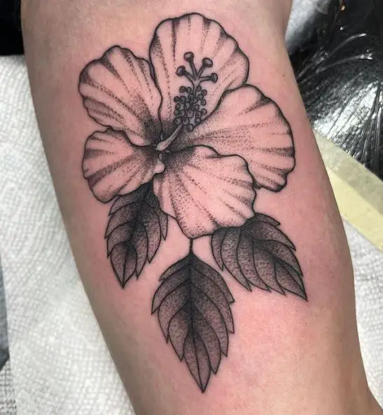 Sketch Style Hibiscus Flower Tattoo