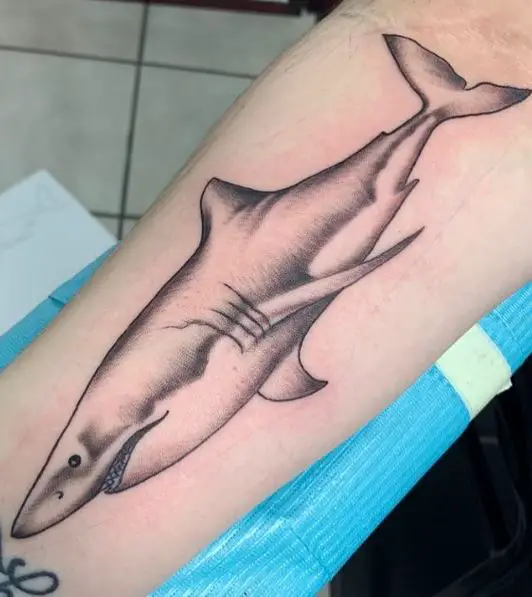 Sketch Style Shark Tattoo on Leg