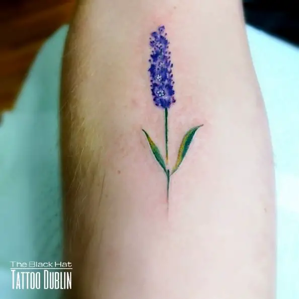 Small Blue Color Lavender Tattoo