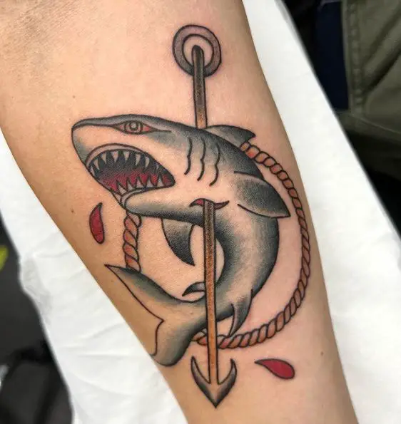 Tattoo of a Grey Shark Stabbed with an Arrow