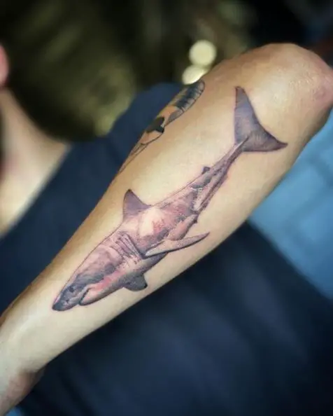 White Shade Shark Tattoo