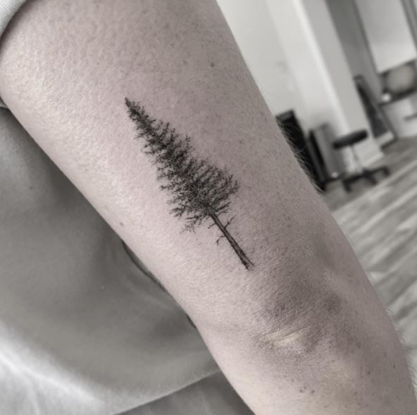 Little Pine Tree Arm Tattoo