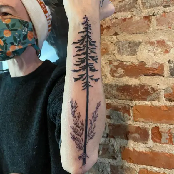 Herbs and Pine Tree Forearm Tattoo