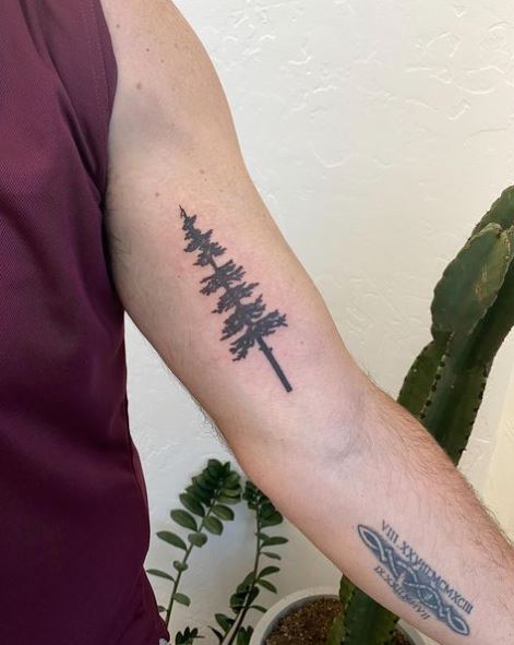 Black Pine Tree Biceps Tattoo