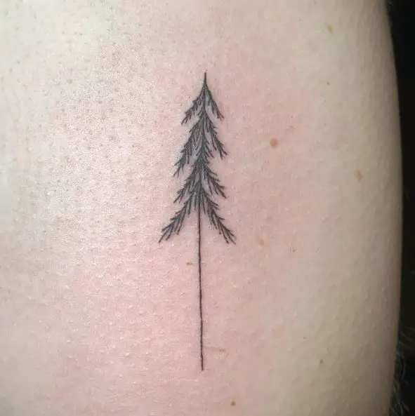 Tiny Pine Tree Tattoo