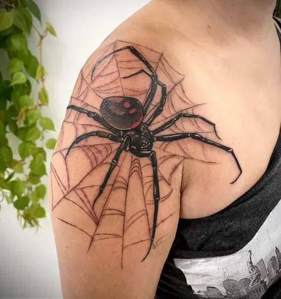 Spider Net and Black Widow Shoulder Tattoo