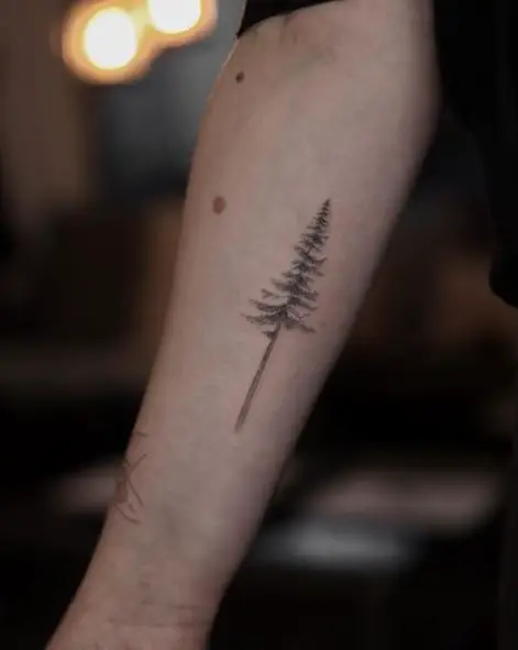 Grey Pine Tree Forearm Tattoo