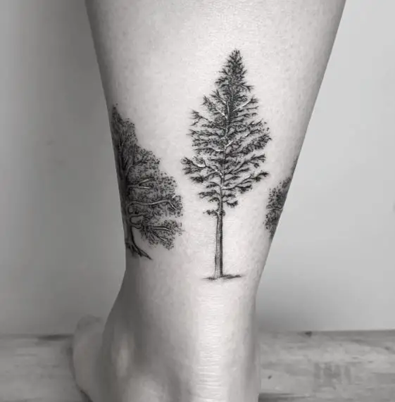 Realistic Pine Tree Leg Tattoo