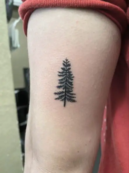 Black Pine Tree Arm Tattoo