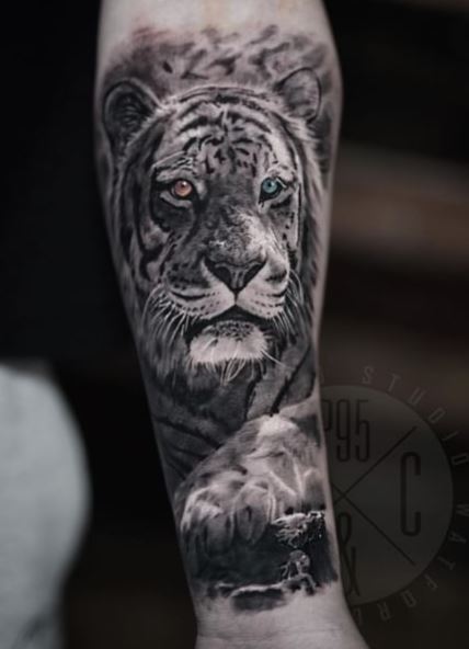 Tiger with Different Eyes Forearm Tattoo