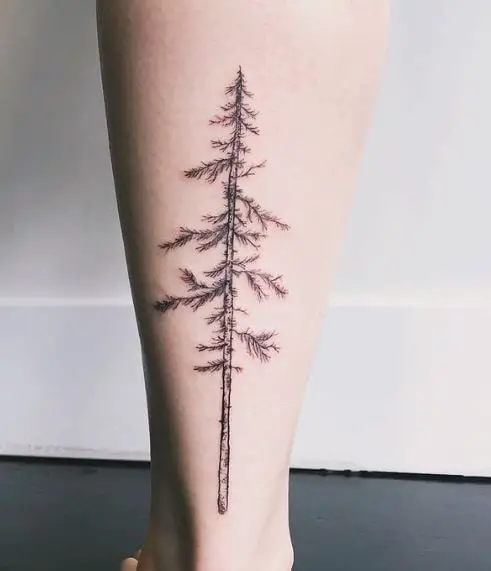 Grey Pine Tree Calf Muscle Tattoo