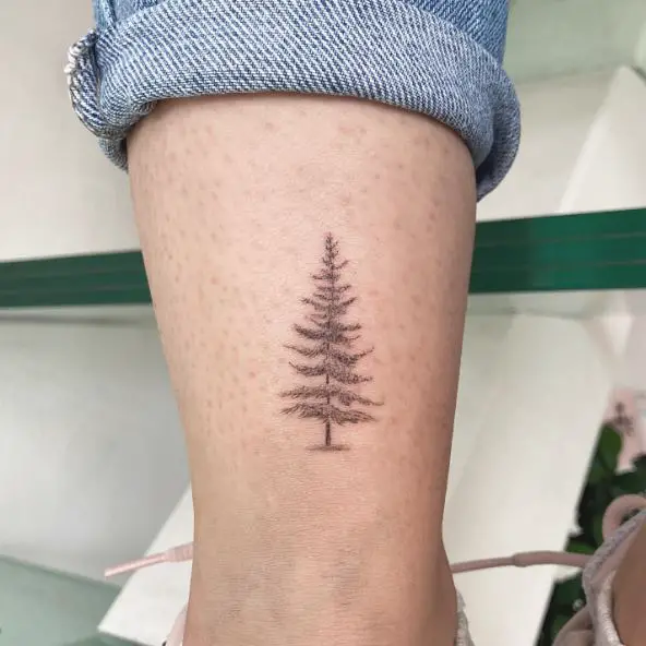 Little Pine Tree Leg Tattoo