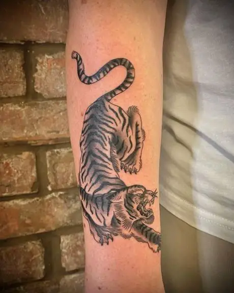 Black and Grey Angry Tiger Forearm Tattoo