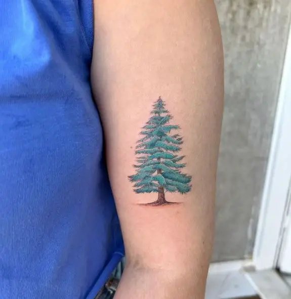 Colored Pine Tree Biceps Tattoo