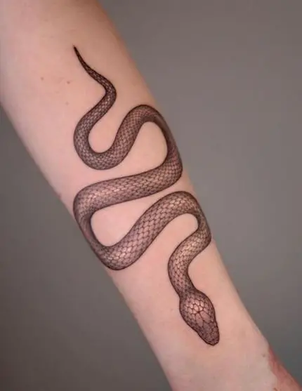 Brown Snake Forearm Tattoo
