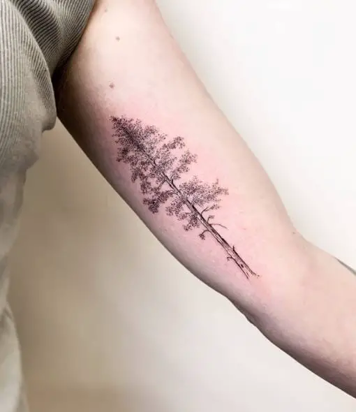 Grey Pine Tree Arm Tattoo