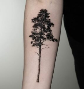 The Pine Tree Tattoo Meaning And 105 Powerful Tattoos To Compel You