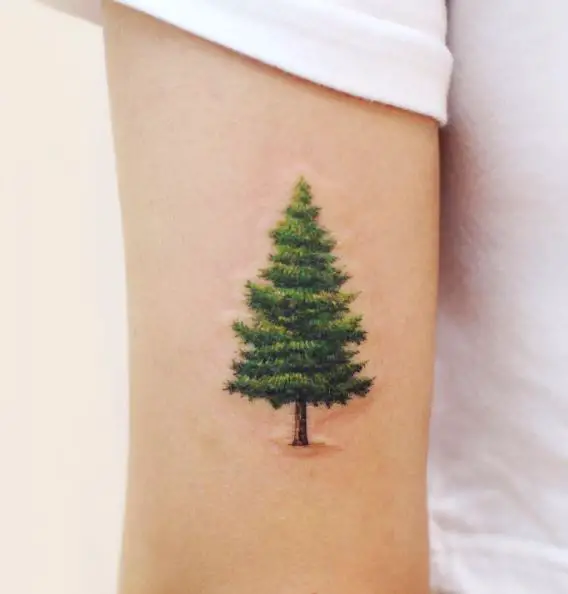 Green Pine Tree Biceps Tattoo