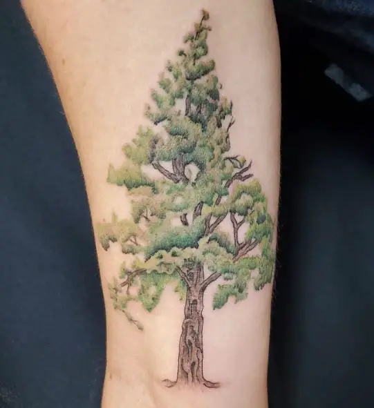 Green Pine Tree Arm Tattoo