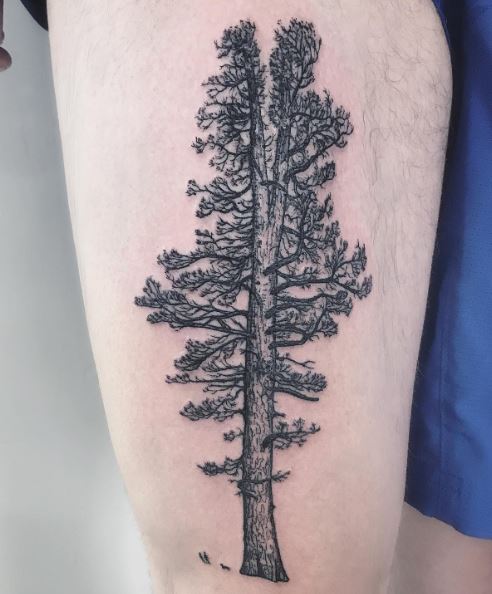 Big Grey Pine Tree Thigh Tattoo