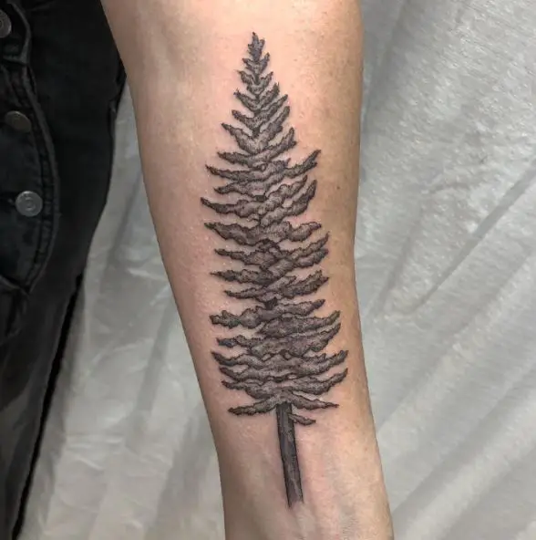 Black and Grey Pine Tree Arm Tattoo