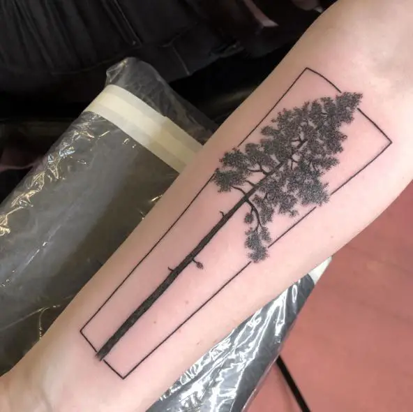 Pine Tree in Frame Arm Tattoo