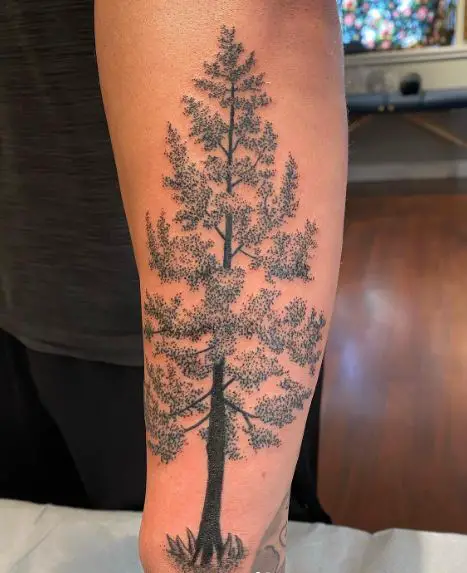 Black and Grey Tree Forearm Tattoo