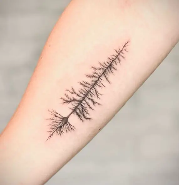 Pine Tree with Roots Arm Tattoo