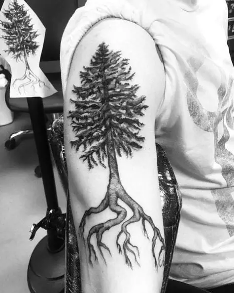 Pine Tree with Big Roots Biceps Tattoo