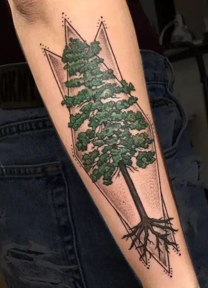 Colored Pine Tree with Roots Forearm Tattoo