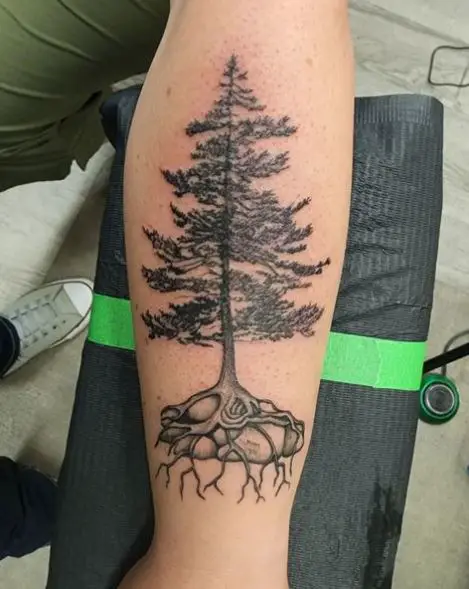 Pine Tree with Roots over Stone Tattoo