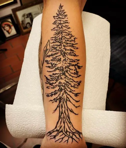 Black Pine Tree with Roots Forearm Tattoo