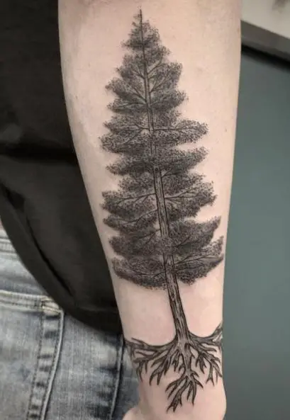 Realistic Pine Tree with Roots Forearm Tattoo