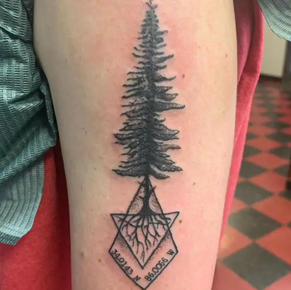 Pine Tree with Coordinates Arm Tattoo