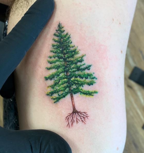 Colored Pine Tree with Roots Tattoo
