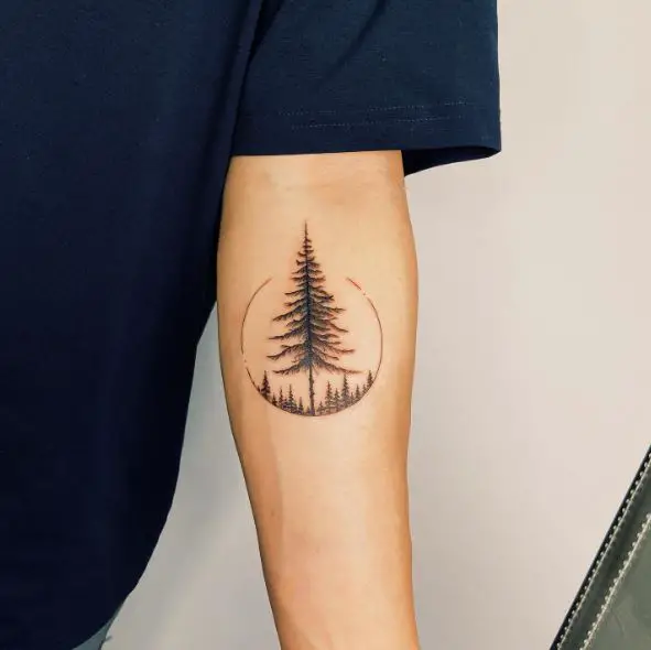 Circled Pine Tree Forearm Tattoo