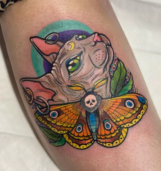 Colorful Cat and Death Moth Tattoo