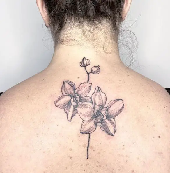 Black and Grey Twin Orchid Flower Back Tattoo