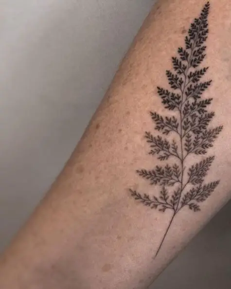 Detailed Fern Leaf Tattoo
