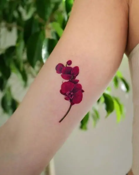 Magenta Orchid Flower Tattoo on Arms