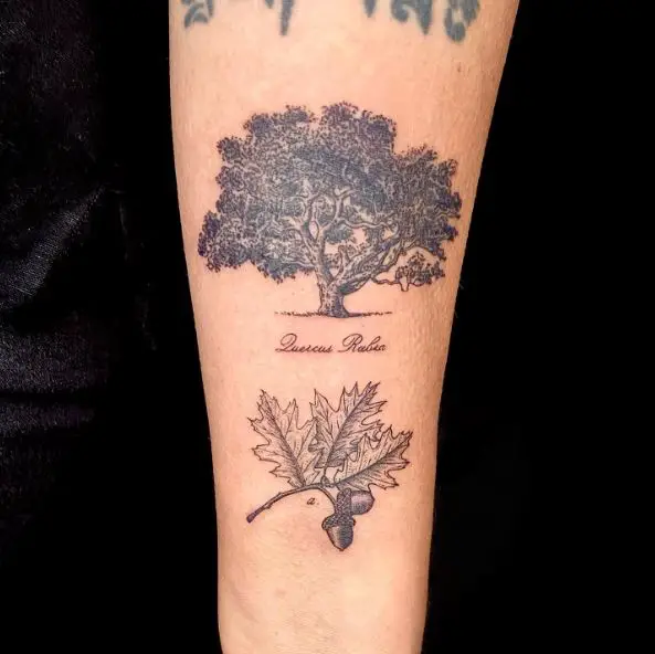 Oak Tree and Leaf Botanical Tattoo