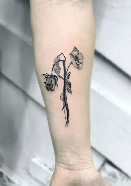 Black and Grey Dying Rose Forearm Tattoo