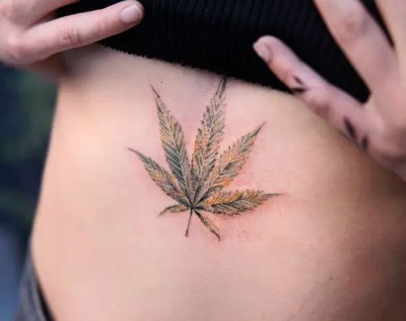 Colored Marijuana Leaf Stomach Tattoo