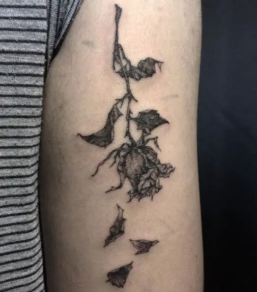 Dead Rose with Falling Petals Biceps Tattoo