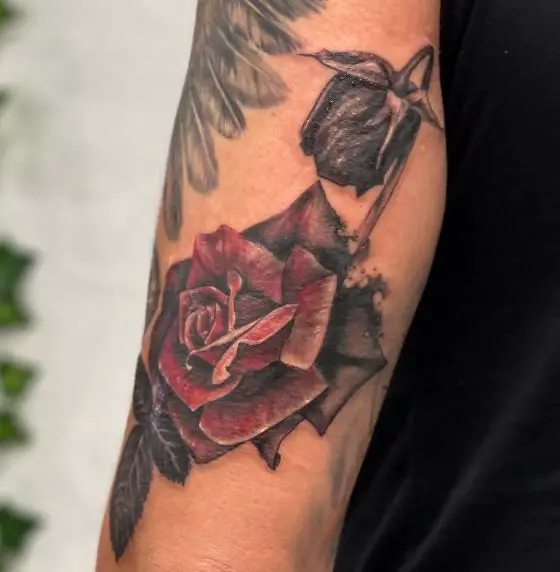 Red Rose and Black Dead Rose Biceps Tattoo
