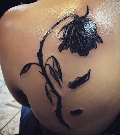 Black Dead Rose with Falling Petals Back Tattoo